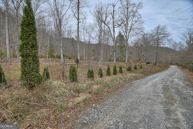 view of street featuring a forest view