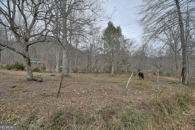 view of yard with a wooded view