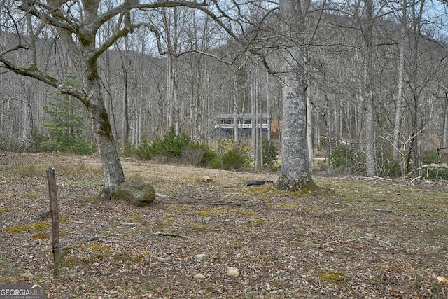 view of yard featuring a wooded view