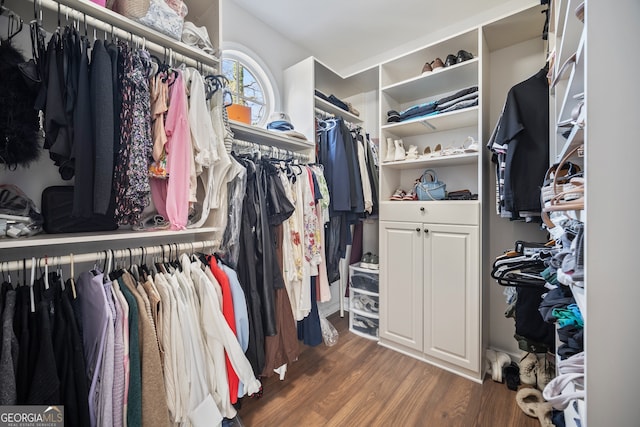 walk in closet featuring wood finished floors