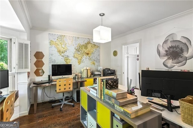 office with baseboards, ornamental molding, and dark wood-style flooring