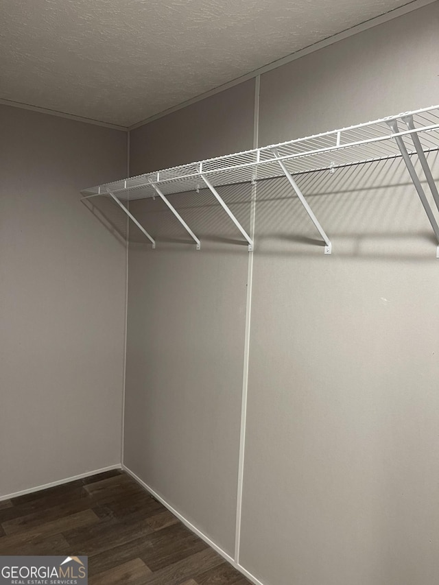 spacious closet with dark wood-style floors