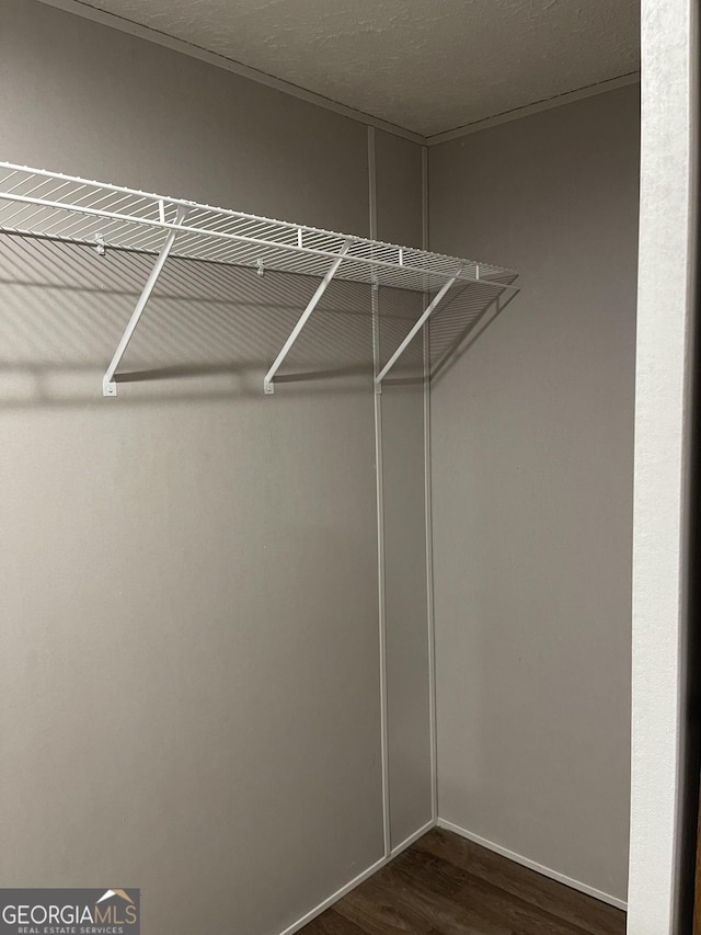 walk in closet with dark wood-type flooring