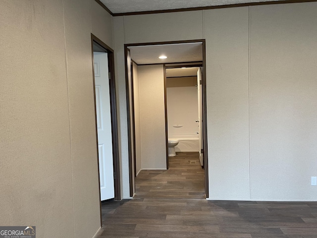 hallway featuring crown molding, dark wood finished floors, and a decorative wall