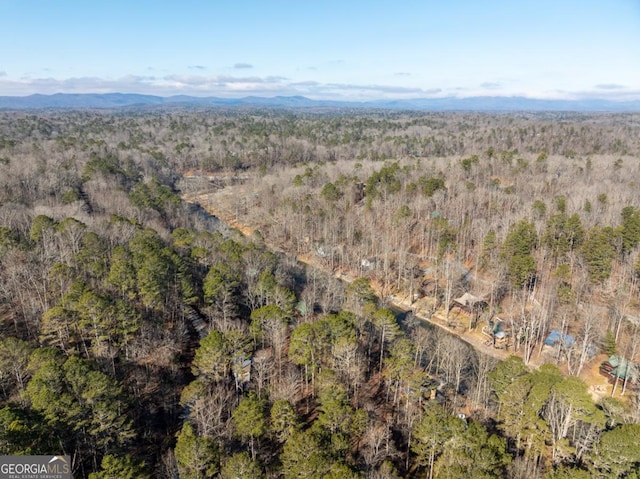 birds eye view of property with a mountain view and a forest view