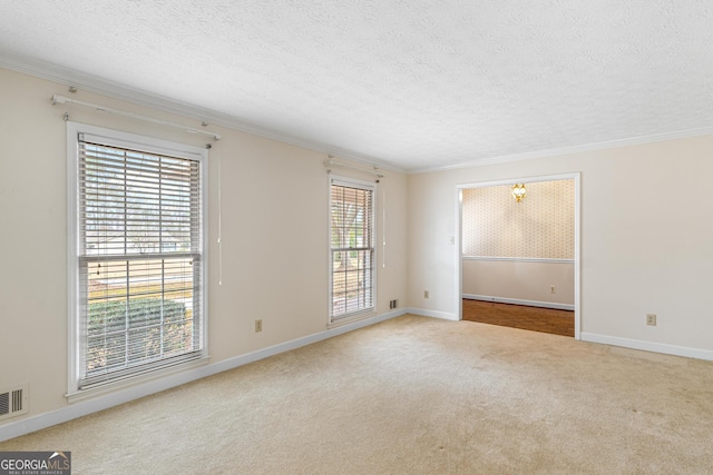 carpeted empty room with ornamental molding and a textured ceiling