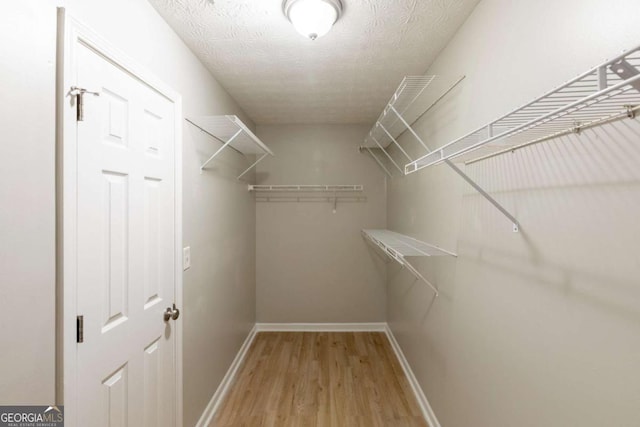 walk in closet featuring wood finished floors