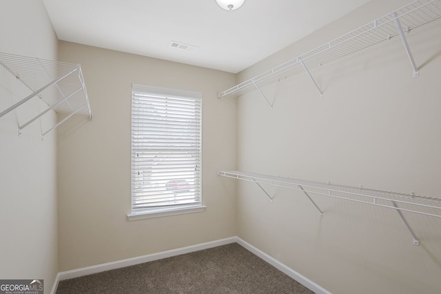 spacious closet featuring carpet flooring and visible vents