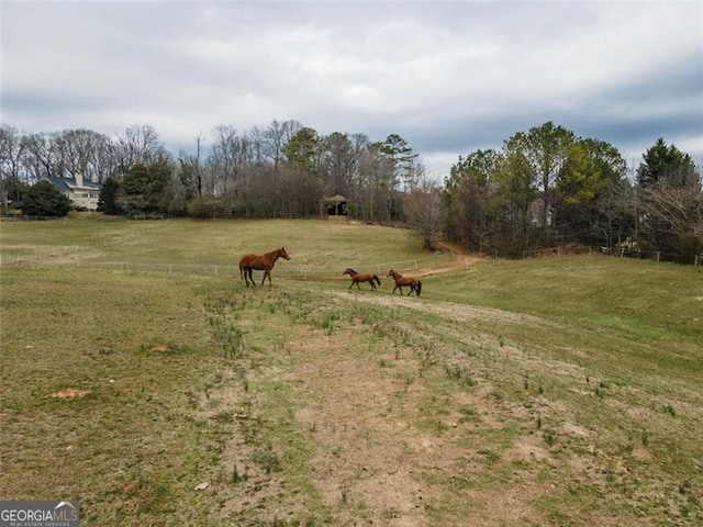 view of yard with a rural view