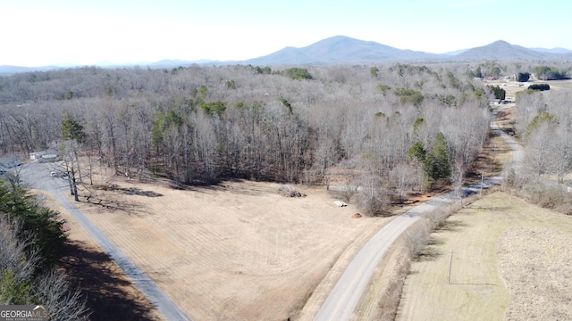 556 Amys Creek Rd, Clarkesville GA, 30523 land for sale