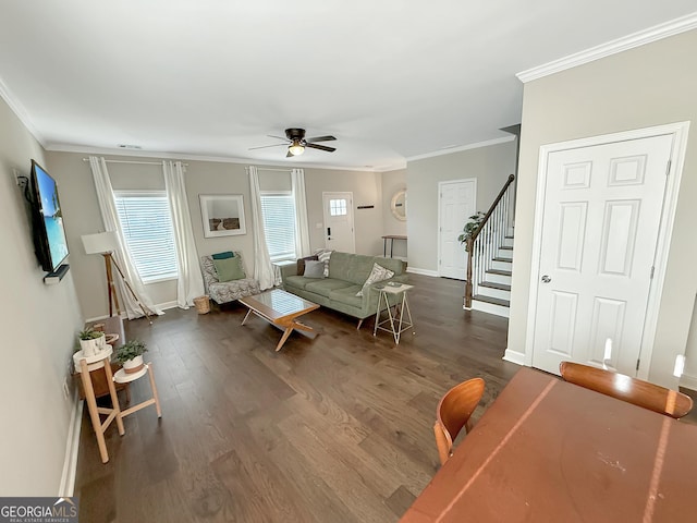 living area featuring dark wood-type flooring, ornamental molding, ceiling fan, and stairs