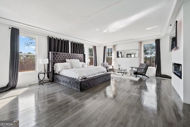 bedroom with a glass covered fireplace, multiple windows, and wood finished floors