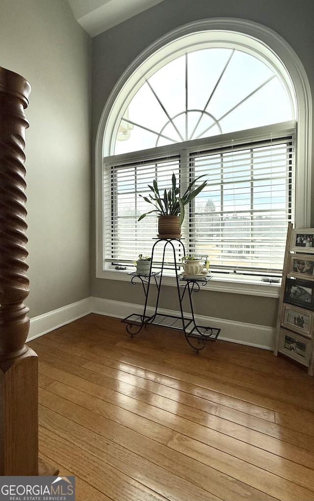 unfurnished dining area featuring baseboards and hardwood / wood-style flooring