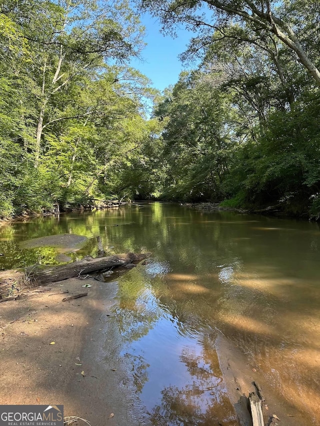 water view featuring a view of trees