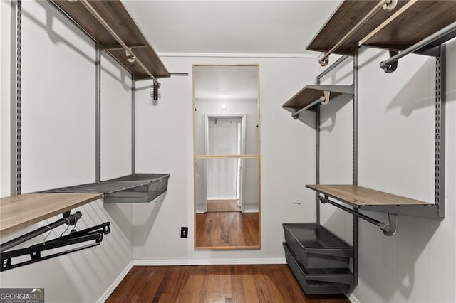 spacious closet featuring wood finished floors