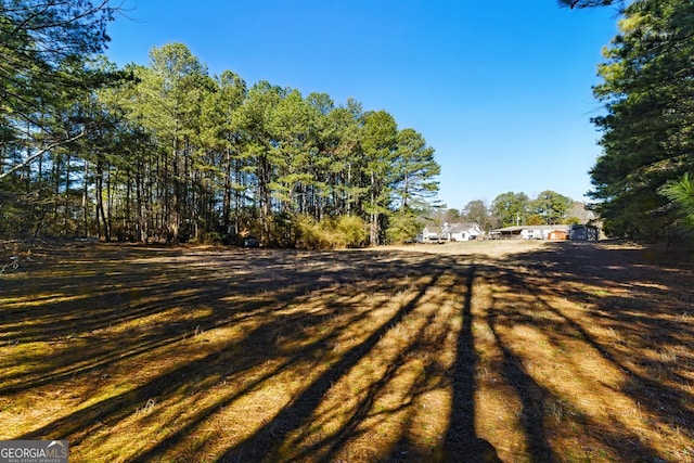 1505 Ozora Rd, Loganville, GA 30052 - view of yard