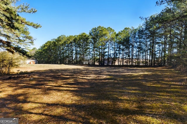 1505 Ozora Rd, Loganville, GA 30052 - view of yard