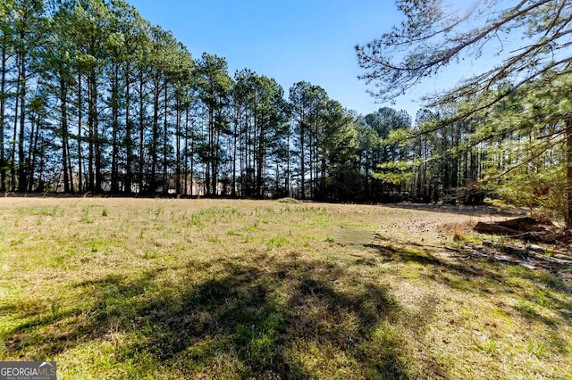 1505 Ozora Rd, Loganville, GA 30052 - view of yard