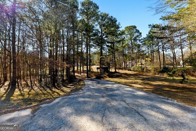 1505 Ozora Rd, Loganville, GA 30052 - view of road