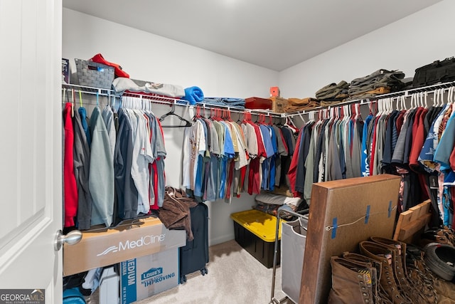 walk in closet with carpet floors