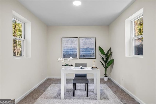 1270 Graymont Dr, Atlanta, GA 30310 - carpeted office featuring plenty of natural light and baseboards