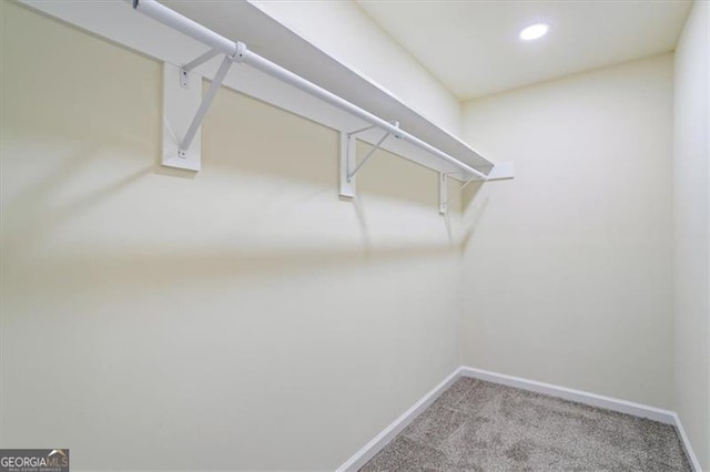 1270 Graymont Dr, Atlanta, GA 30310 - spacious closet with carpet floors