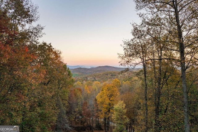 view of mountain feature with a wooded view