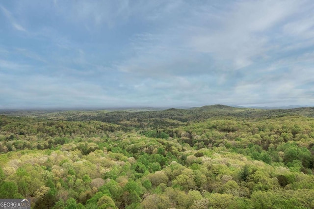 mountain view with a forest view