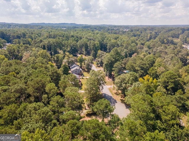 2950 Hadrian Dr, Snellville, GA 30078