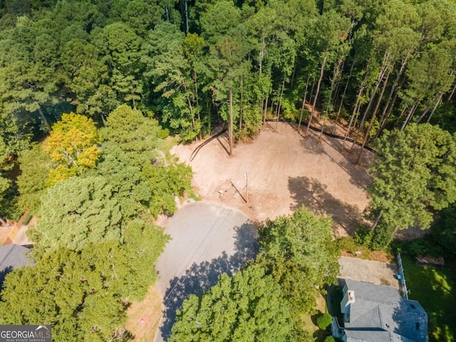 2950 Hadrian Dr, Snellville, GA 30078