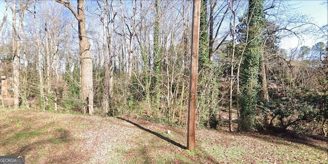 Listing photo 3 for 1000 Milam Cir, Clarkston GA 30021