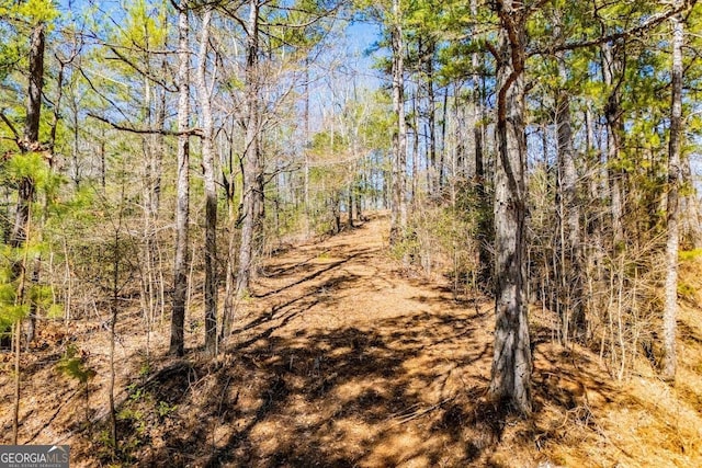 0 County Road 269, Wedowee, AL 36278