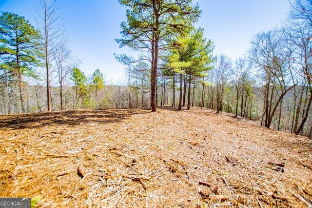 0 County Road 269, Wedowee, AL 36278