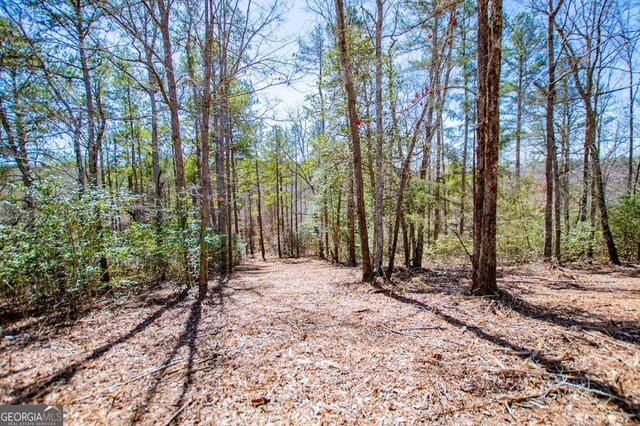 0 County Road 269, Wedowee, AL 36278