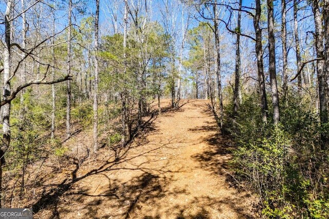 0 County Road 269, Wedowee, AL 36278