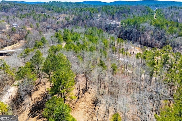 0 County Road 269, Wedowee, AL 36278