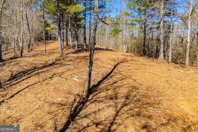 0 County Road 269, Wedowee, AL 36278