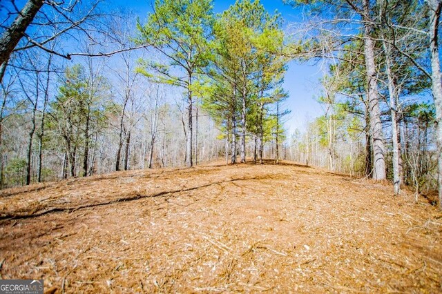 0 County Road 269, Wedowee, AL 36278