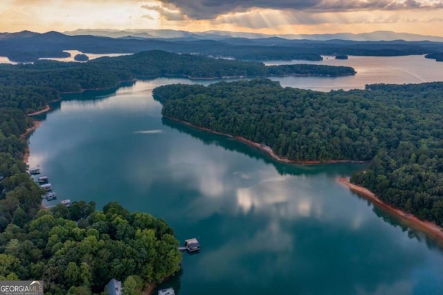 drone / aerial view featuring a wooded view and a water and mountain view