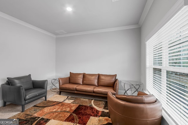 living area featuring ornamental molding