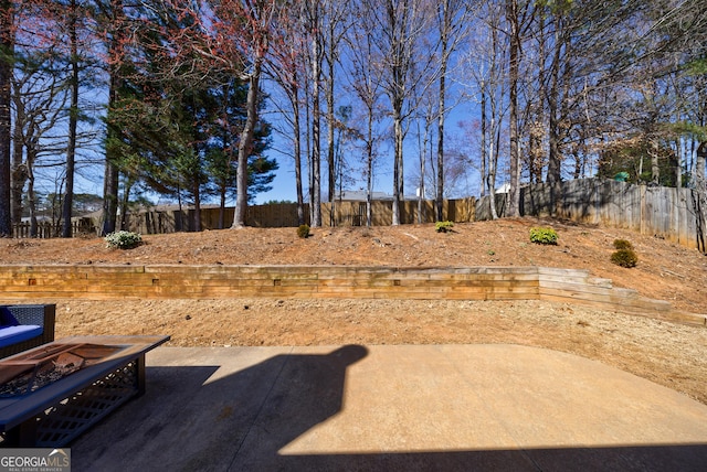 view of yard with a patio area and a fenced backyard