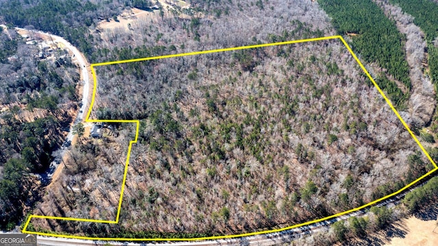 0 Roosevelt Hwy, Warm Springs GA, 31830 land for sale