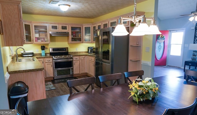 kitchen featuring dark wood-style flooring, appliances with stainless steel finishes, a sink, a textured ceiling, and under cabinet range hood