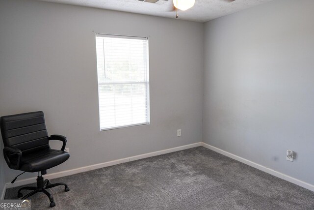 office space featuring a healthy amount of sunlight, carpet, baseboards, and a textured ceiling