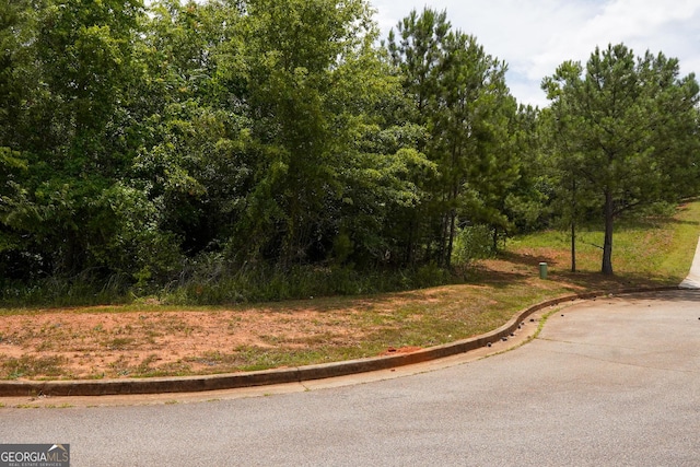 view of road with curbs