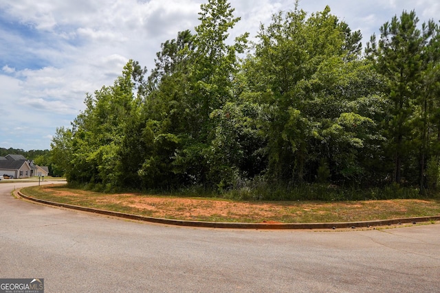 view of road featuring curbs