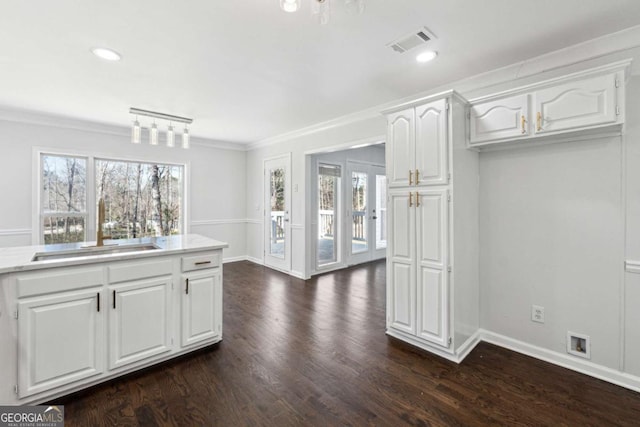 kitchen featuring a wealth of natural light, visible vents, dark wood-style flooring, and a sink