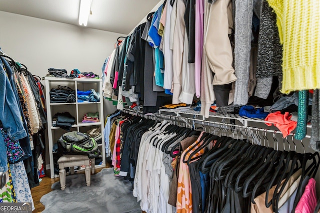 spacious closet featuring wood finished floors