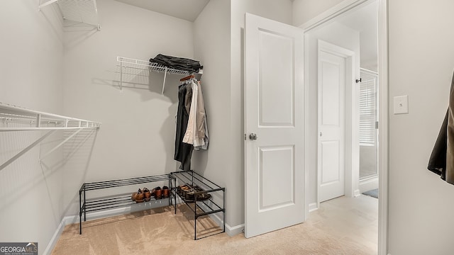 spacious closet featuring carpet floors