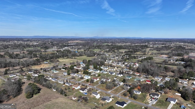 bird's eye view